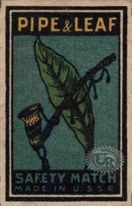 ExpP26